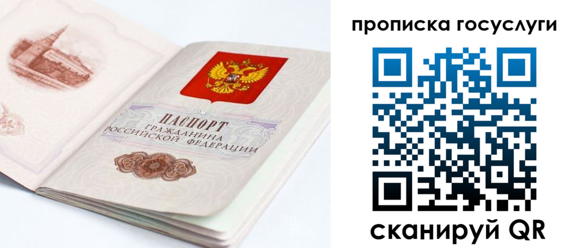 временная регистрация в Хабаровском крае
